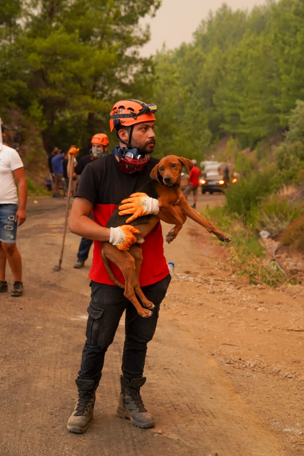 A rescue worker in a helmet carrying a puppy away from a wildfire