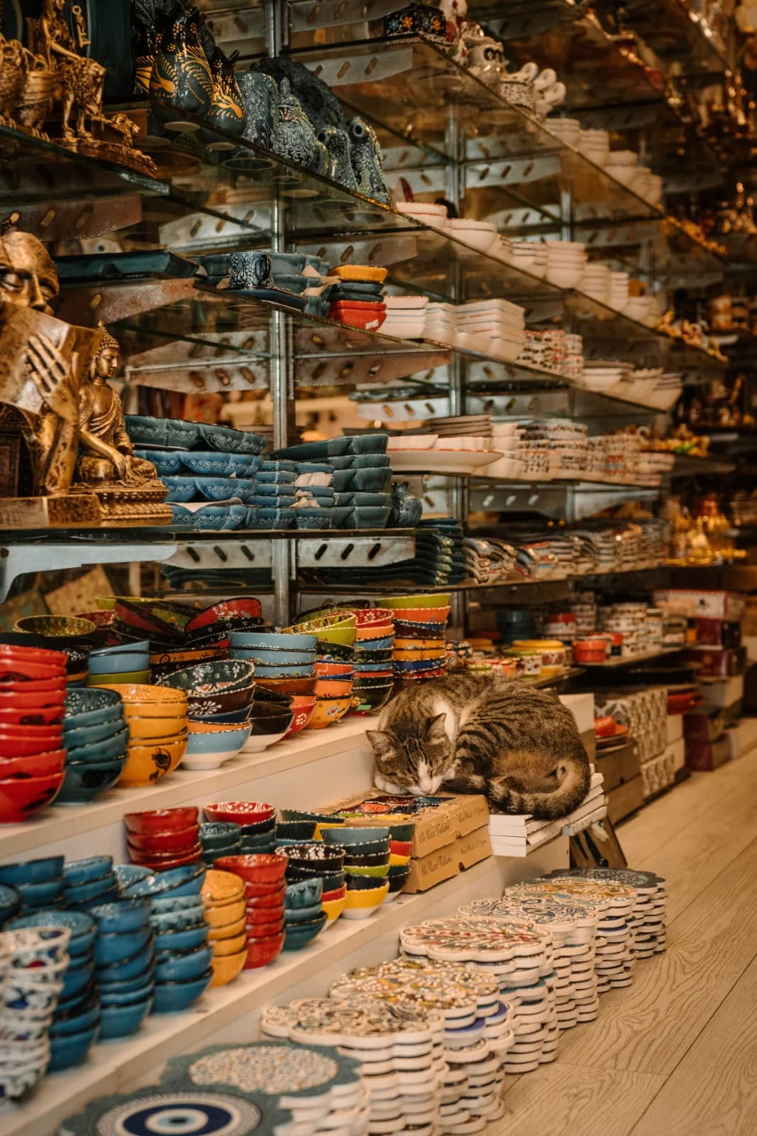 A cat asleep on a shop counter